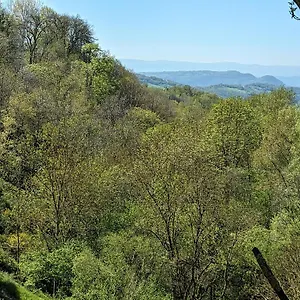 https://petite-bergerie-en-pierres-tout-confort.midi-pyreneeshotels.com